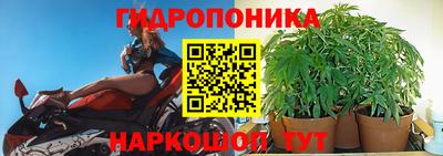 хмурый Можга